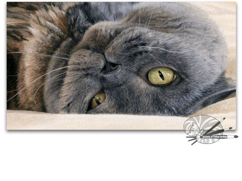 "A Warm Greeting" British Shorthair Blue Cream