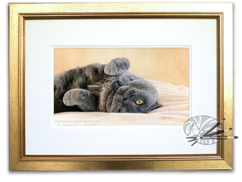 "A Warm Greeting" British Shorthair Blue Cream
