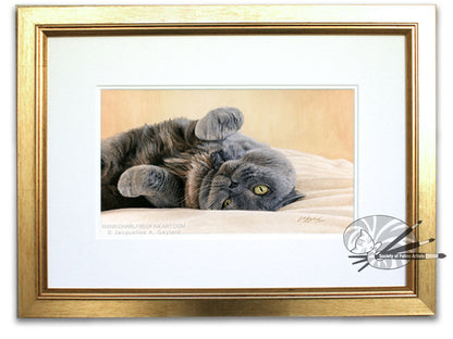 "A Warm Greeting" British Shorthair Blue Cream