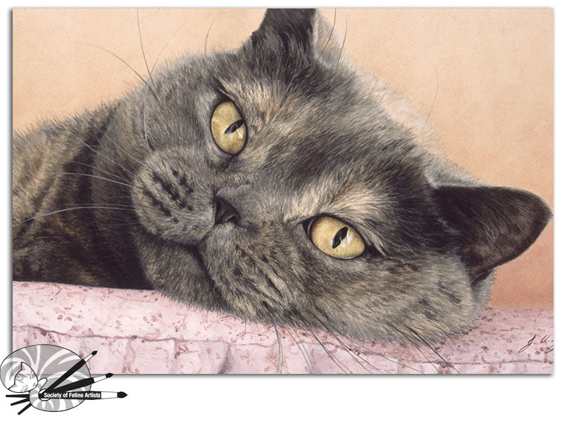 Cushion Comforts - British Shorthair Blue Cream