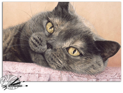 Cushion Comforts - British Shorthair Blue Cream