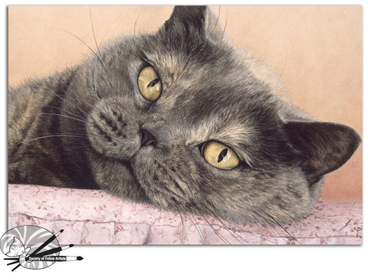 Cushion Comforts - British Shorthair Blue Cream