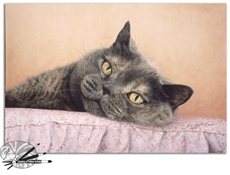 Cushion Comforts - British Shorthair Blue Cream