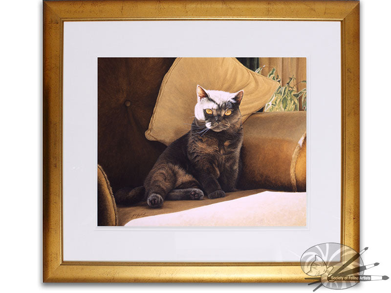 'Days Like These' British Shorthair Blue Cream
