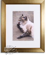 Load image into Gallery viewer, &#39;Spotless&#39; Siamese/Persian Cat
