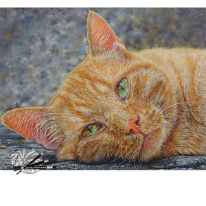 Ginger -  Limited Edition Print