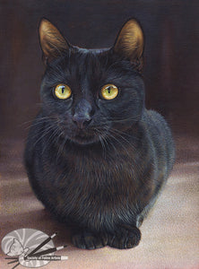 Golden Eyes - Black Cat Limited Edition Print