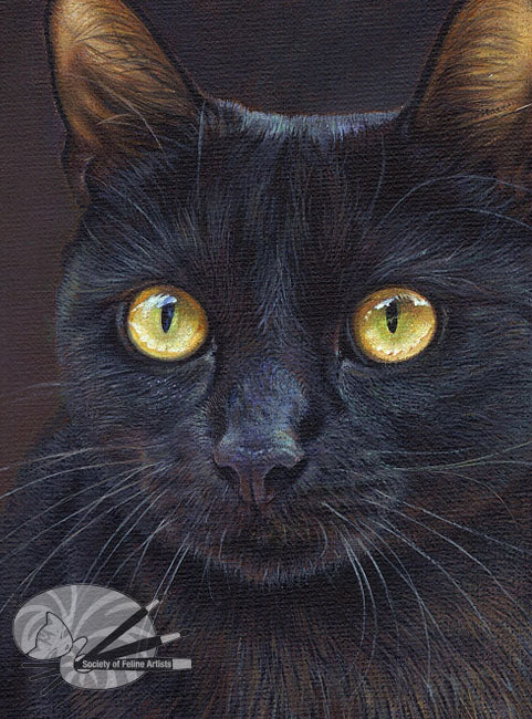 Golden Eyes - Black Cat Limited Edition Print