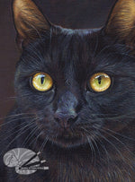 Load image into Gallery viewer, Golden Eyes - Black Cat Limited Edition Print
