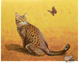 Bengal Butterfly - Limited Edition Print