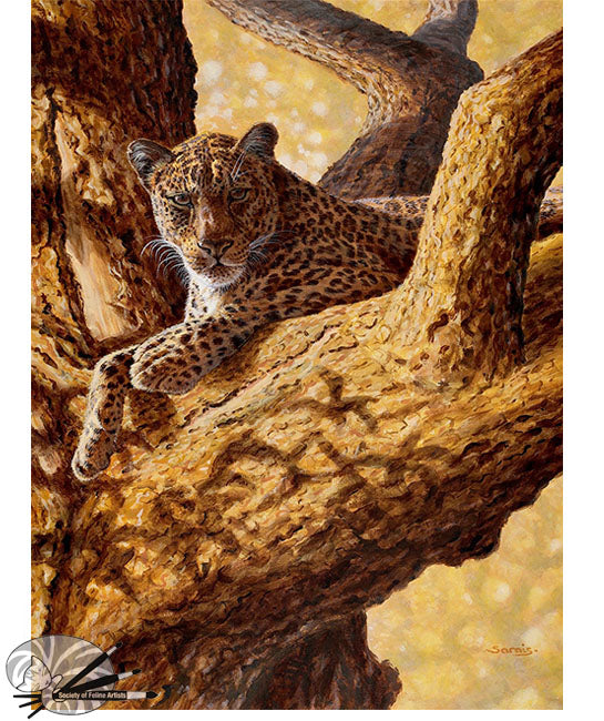 Sundown - Limited Edition Print