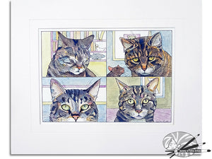Tabby’s Wot Zoom!