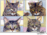 Load image into Gallery viewer, Tabby’s Wot Zoom!
