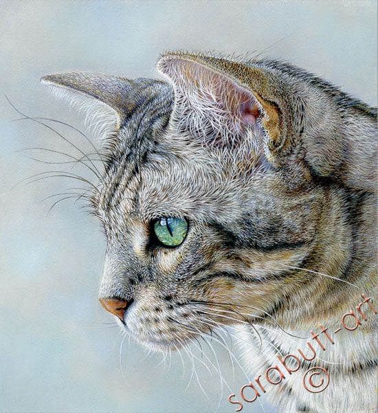 Silver - Bengal Cat Limited Edition Print