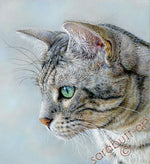 Load image into Gallery viewer, Silver - Bengal Cat Limited Edition Print
