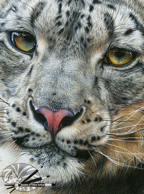 Snow Leopard - Limited Edition Print